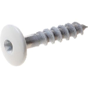 Trespa kleur schroef wit 4,8 x 25mm TX-20 RAL 9010 - 10 stuks - gevelplaatschroef