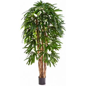 Rhapis kunst palm - 150 cm
