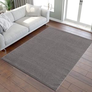 tapijt super zacht pluizig antislip\Tapijt voor woonkamer - Comfortabel ontwerp 140*200cm