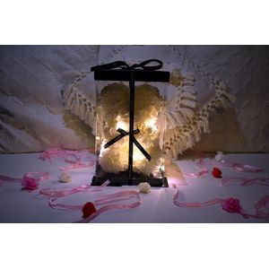 Rose bear- Rozen beer - Rozenbeer - Valentijn cadeautje vrouw- Moederdag cadeautje- Teddy beer- 25 cm- Giftbox- LED verlichting- Wit- Shopping4All