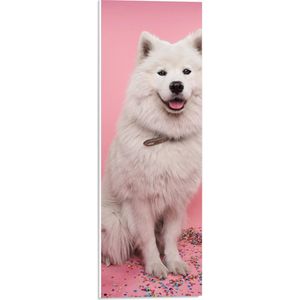 WallClassics - PVC Schuimplaat - Portret van Witte Hond tegen Roze Achtergrond met Confetti - 20x60 cm Foto op PVC Schuimplaat (Met Ophangsysteem)