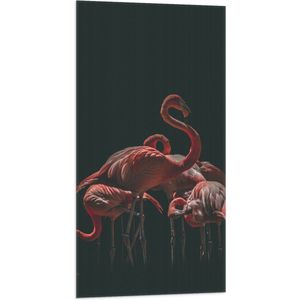 WallClassics - Vlag - Roze Flamingo's met Zwarte Achtergrond - 50x100 cm Foto op Polyester Vlag