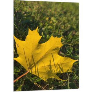 WallClassics - Vlag - Geel Eikenblad in het Groene Gras - 70x105 cm Foto op Polyester Vlag