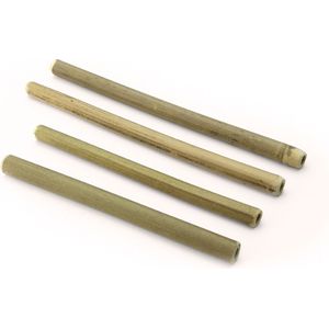 Bamboe Rietjes Ø 10mm - 15 cm kort - 25 stuks