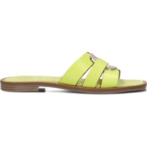 Notre-V 22718 Slippers - Dames - Groen - Maat 40