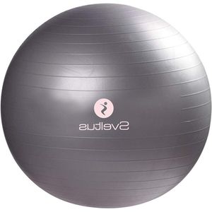 65 cm Gymbal