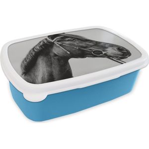 Broodtrommel Blauw - Lunchbox - Brooddoos - Paard - Halster - Portret - 18x12x6 cm - Kinderen - Jongen