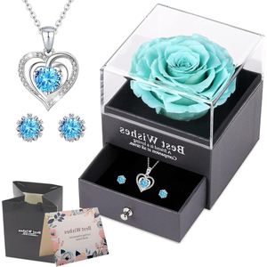 Eeuwige roos geschenkdoos - splinterketting en oorbellen - rozen cadeaus voor vrouwen - Valentijnsdag Moederdag - jubileum verjaardag - moeder zus echtgenote