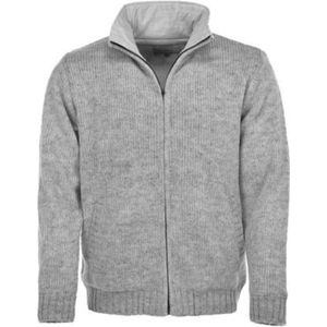 Pure Wool MNL-1703 Lichtgrijs Wollenvest Heren