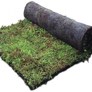 Groen Dak Compleet Sedummixmat (10 stuks)