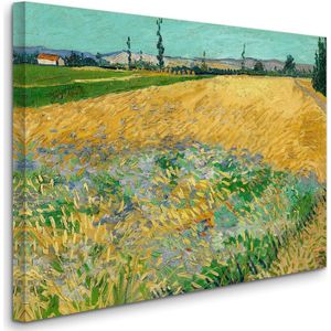 Vincent van Gogh - Wheatfield - Tarweveld (1888) - 2:3