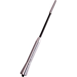 Carpoint - Antenne Shortstick - Antenne Auto - Autoantenne - 17,5 CM - Aluminium Zilver