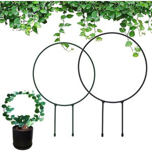 Tuinroosters voor klimplanten - 2 stuks ronde metalen tuinpalen - plantensteunpalen voor klimop en Hoya-plant - binnen en buiten