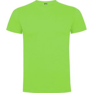Oasis Groen 2 pack t-shirts Roly Dogo maat 8 122 – 128