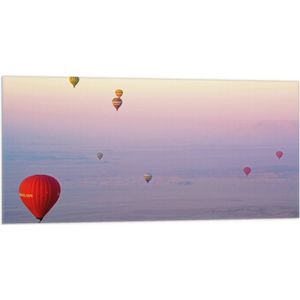 WallClassics - Vlag - Ballonvaarten in Verschillende Luchtballonnen - 100x50 cm Foto op Polyester Vlag