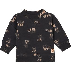 Noppies Sweater Grijota long sleeve allover print Jongens Trui - Maat 68