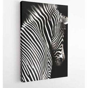 Black and white zebra image at an interesting angle showing the head and shoulders. Zebra is looking a little away from the camera and isolated on a black background - Modern Art Canvas - Vertical - 32906833 - 80*60 Vertical