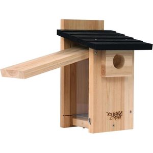 CWH4 Cedar Bluebird Kijkhuis - Vogelhuisje voor Blauwe Mezen Bird Nest