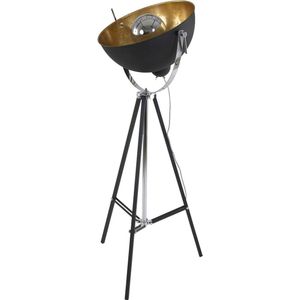 Landelijke vloerlamp | 1 lichts | zwart / goud | metaal | 163 cm | staande lamp / woonkamer lamp | modern / sfeervol design