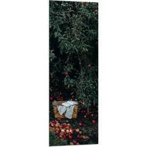 WallClassics - Vlag - Mandje voor Appels Plukken - 40x120 cm Foto op Polyester Vlag