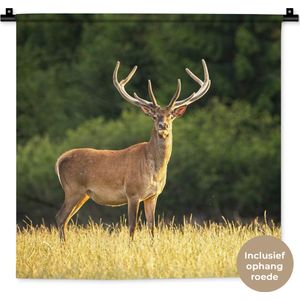 Wandkleed - Wanddoek - Hert - Gewei - Gras - Natuur - Dieren - Groen - 60x60 cm - Wandtapijt