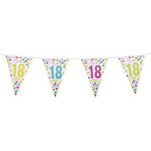 Boland 50 Vlaggenlijn - Multicolor - Party - Feest - Verjaardag - Slinger - 6 Meter