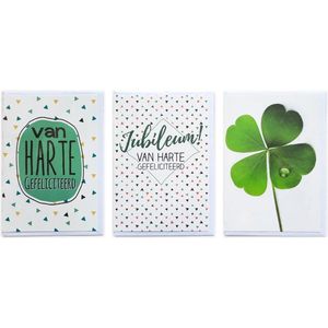 3 Wenskaarten – Jubileum + Van Harte Gefeliciteerd + Klaver 4 - 12 x 17 cm – JUB-303