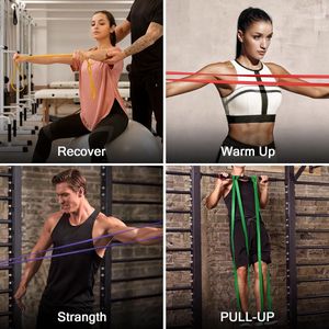 Fitnessbandenset, pull-up weerstandsband in 5 verschillende treksterktes, expander-banden, set incl. optrekband, weerstandsbanden, handgrepen, voetbanden, deuranker, draagtas