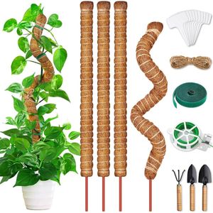 Monstera klimhulp, 4 stuks, 64 cm, kokos-plantenstok, flexibele mosstaaf voor Monstera met accessoires, Monstera plantenstok voor klimplanten, natuurlijke plantensteun