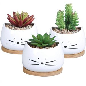 Set Van 3 Kleine Bloempotten Voor Vetplanten En Cactussen - Inclusief 3 Houten Schalen - Geschikt Voor Kantoor, Collega's En Vensterbank Binnen En Buiten