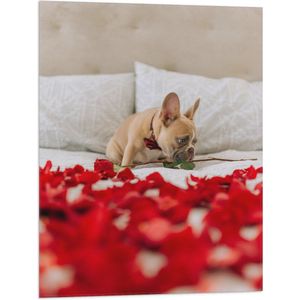 WallClassics - Vlag - Hondje op Bed met Rode Rozenblaadjes - Franse Buldog - 60x80 cm Foto op Polyester Vlag
