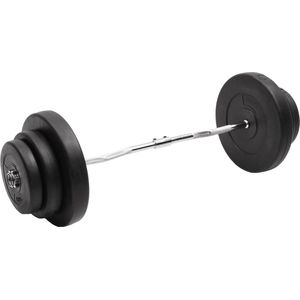 vidaXL-Halter-gebogen-met-gewichten-60-kg