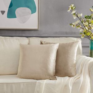 Kussenhoes, set van 2 fluwelen sierkussenhoezen, voor sofa / slaapkamer / auto, 45 x 45 cm