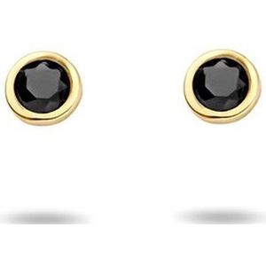 oorknoppen zwart zirkonia 14K geelgoud 4023638