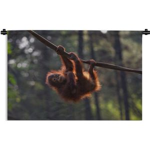 Wandkleed Junglebewoners - Jonge orang-oetan hangend aan tak Wandkleed katoen 90x60 cm - Wandtapijt met foto