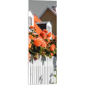 WallClassics - PVC Schuimplaat- Witte Schutting met Roze Tuinrozen - 30x90 cm Foto op PVC Schuimplaat