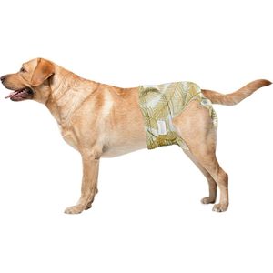 Loopsheidbroekje hond - gouden palmprint - maat L - voor grotere teefjes - herbruikbaar - hondenbroekje - hondenluier - loopsheid - incontinentie hond
