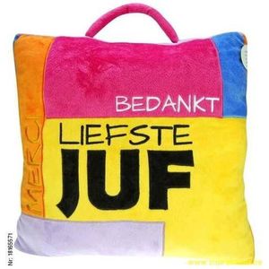 Zitkussen ""Blok"" Bedankt Liefste Juf