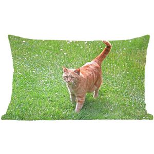 Sierkussen Katten voor binnen - Rode kater in het gras - 60x40 cm - rechthoekig binnenkussen van katoen