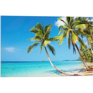 WallClassics - Vlag - Tropisch Strand met Palm Bomen - 60x40 cm Foto op Polyester Vlag