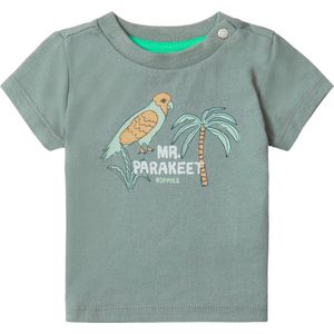 Noppies Boys Tee Benwood short sleeve Jongens T-shirt - Agave Green - Maat 86