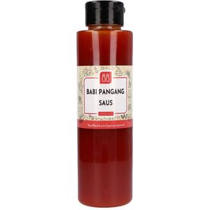 Van Beekum Specerijen - Babi Pangang Saus - Knijpfles 500 ml