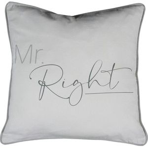 Sierkussen - Organic Mr Right - Grijs - 45 Cm X 45 Cm