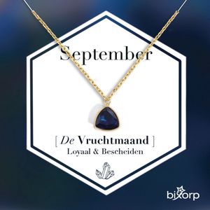 Bixorp Gems Geboortesteen Ketting September - Saffier - Zirkona Hanger aan Goudkleurige Ketting - 45 + 5cm - Cadeau voor vrouwen
