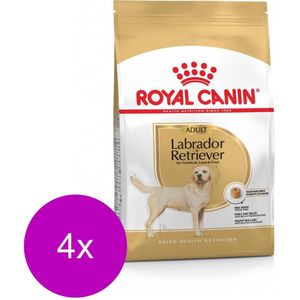 Royal Canin Bhn Labrador Retriever Adult - Hondenvoer - 4 x 3 kg