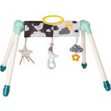 Taf Toys Baby Gym Speelboog Mini Moon Take-To-Play