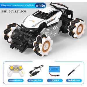 Fuegobird RC Auto - RC Voertuig -  hoge snelheid speelgoedauto - Platina