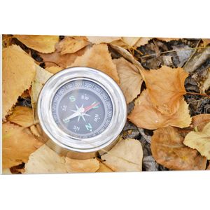 WallClassics - PVC Schuimplaat - Traditioneel Kompas op Stapel Herfstbladeren - 90x60 cm Foto op PVC Schuimplaat (Met Ophangsysteem)