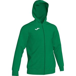 Joma Menfis Jas Met Kap Heren - Groen | Maat: 2XL