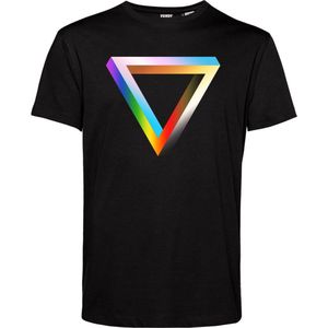 T-shirt Regenboog driehoek | Gay pride shirt kleding | Regenboog kleuren | LGBTQ | Zwart | maat XL
